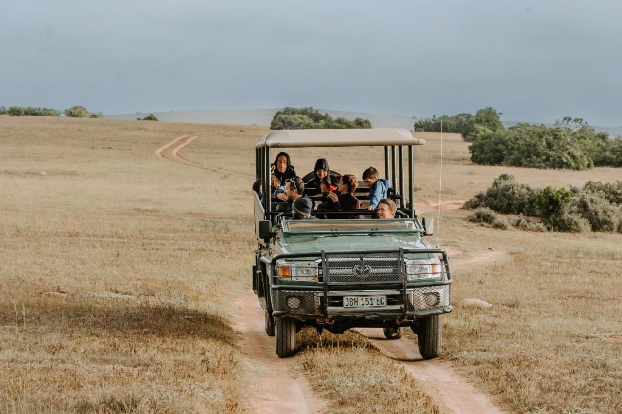 Hlosi Game Lodge - Amakhala Game Reserve Buyskloof Esterno foto