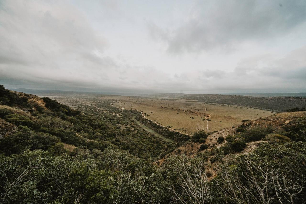 Hlosi Game Lodge - Amakhala Game Reserve Buyskloof Esterno foto