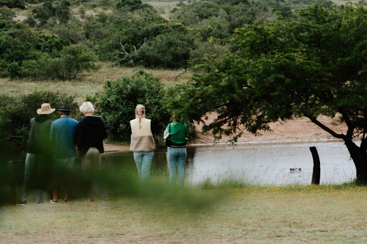 Hlosi Game Lodge - Amakhala Game Reserve Buyskloof Esterno foto